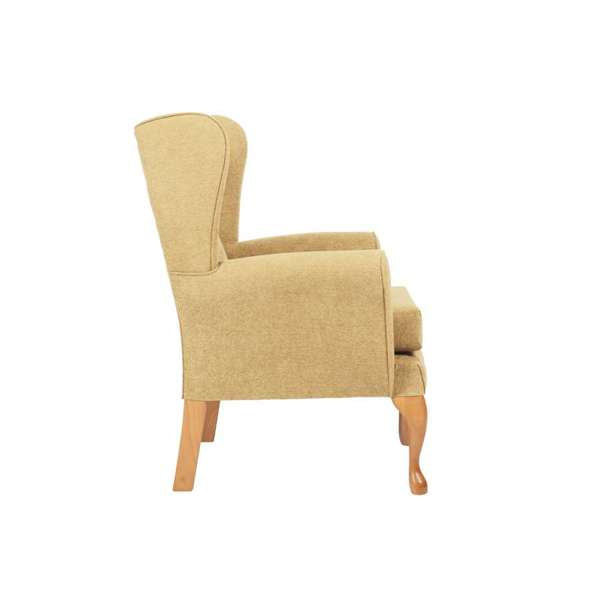 Drive DeVilbiss Drive Queen Anne Fireside Chair