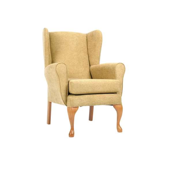 Drive DeVilbiss Drive Queen Anne Fireside Chair