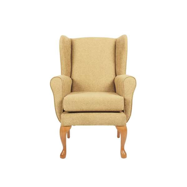 Drive DeVilbiss Drive Queen Anne Fireside Chair