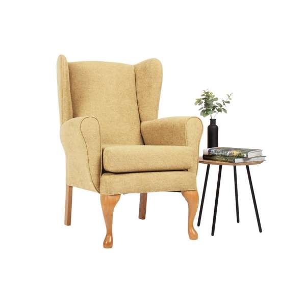 Drive DeVilbiss Drive Queen Anne Fireside Chair